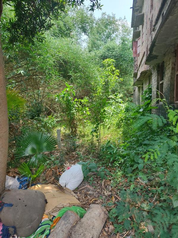  Residential Plot 15 Dismil for Sale in Kolaghat, Medinipur