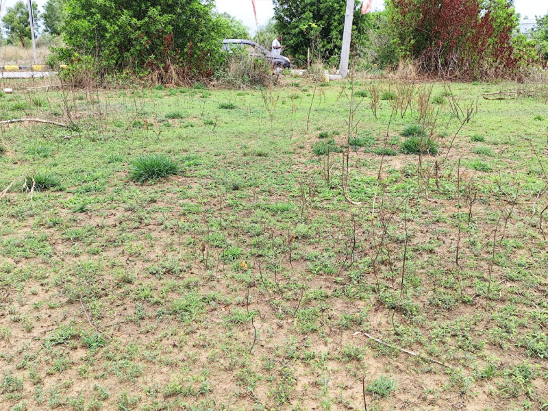  Residential Plot 200 Sq. Yards for Sale in Raghunathpalle, Jangaon