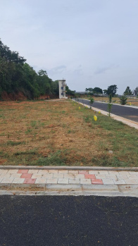  Residential Plot for Sale in Denkanikottai, Hosur