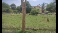 Residential Plot for Sale in Jigani Road, Bangalore