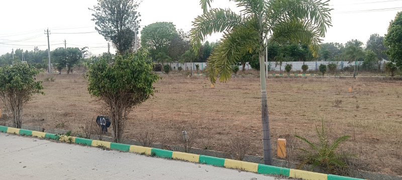  1500 Sq.ft. Residential Plot for Sale in Malur, Bangalore