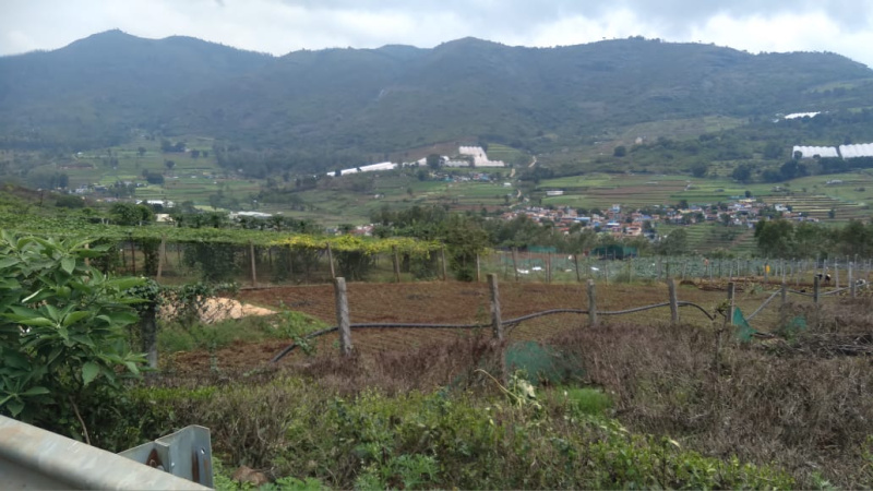  Residential Plot 25 Cent for Sale in Kotagiri, Nilgiris
