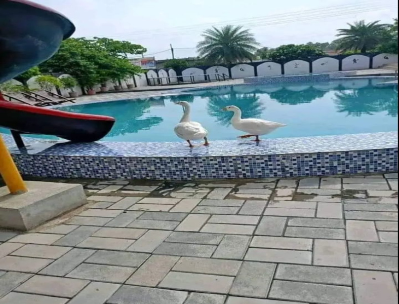  Agricultural Land 5000 Sq.ft. for Sale in Amravati Road, Nagpur