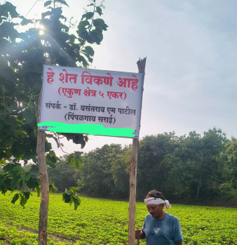  Agricultural Land for Sale in Chikhli, Buldana