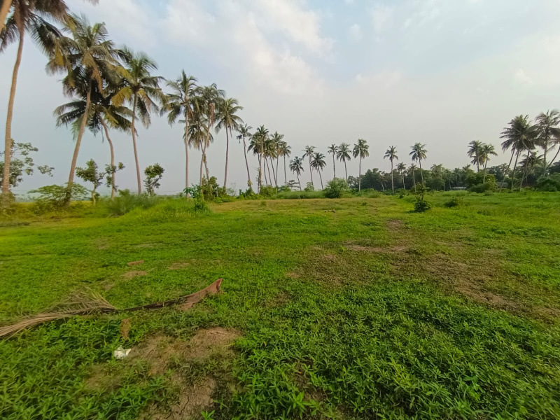  Residential Plot 150 Dismil for Sale in Debra, Medinipur