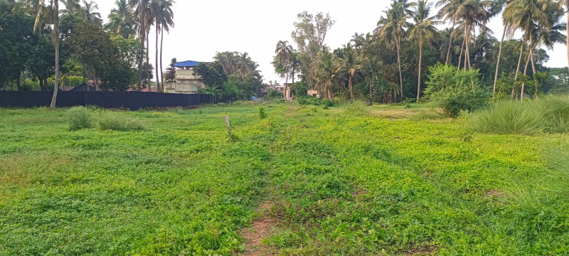  Residential Plot 150 Dismil for Sale in Debra, Medinipur