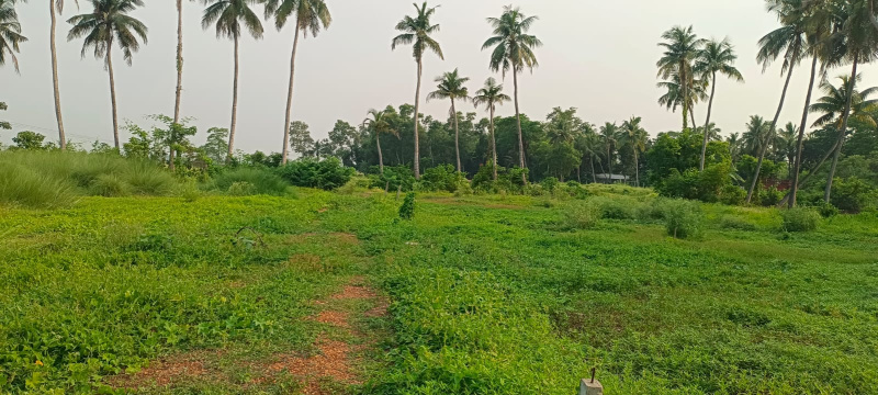  Residential Plot 150 Dismil for Sale in Debra, Medinipur