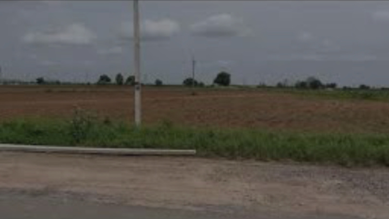  Agricultural Land 7 Bigha for Sale in Naugaon, Alwar