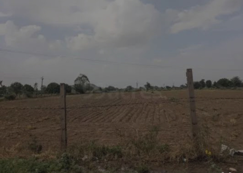  Agricultural Land 7 Bigha for Sale in Naugaon, Alwar