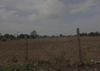  Agricultural Land for Rent in Ramgarh, Alwar