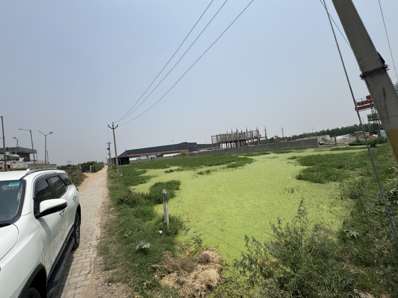  Agricultural Land 2 Acre for Sale in Shahbad, Kurukshetra