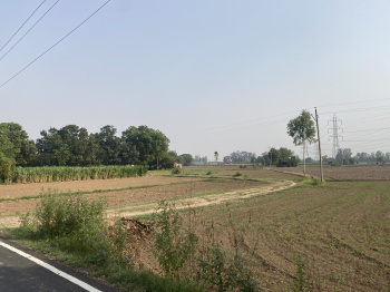  6 Acre Agricultural/Farm Land for Sale in Kharar, Chandigarh