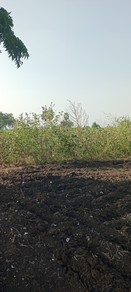  Agricultural Land 30 Cent for Sale in Etukuru, Guntur