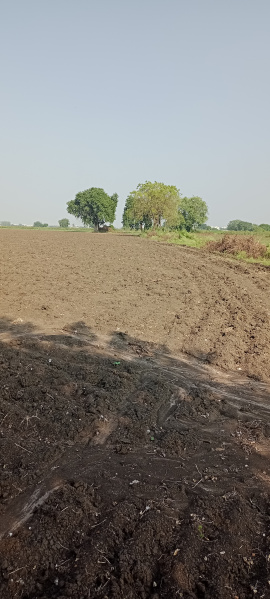  Agricultural Land 30 Cent for Sale in Etukuru, Guntur