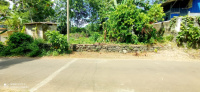  Residential Plot for Rent in Thiruvalla, Pathanamthitta