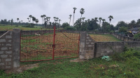  Residential Plot for Sale in Nuzvid, Vijayawada