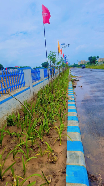  Residential Plot 128 Sq. Yards for Sale in Jaisinghpura, Jaipur