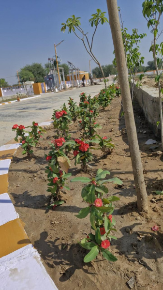  100 Sq. Yards Residential Plot for Sale in Diggi Road, Jaipur