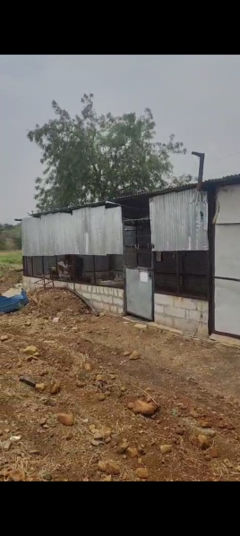  2 Acre Agricultural/Farm Land for Sale in Karanja, Washim