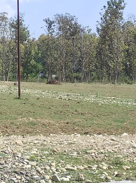  Residential Plot 150 Sq. Yards for Sale in Shimla Bypass Road, Dehradun