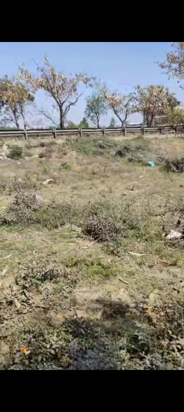  Commercial Land 4456 Sq.ft. for Sale in Delhi Road, Moradabad