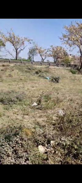  Commercial Land 4456 Sq.ft. for Sale in Delhi Road, Moradabad