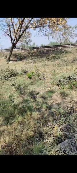  Commercial Land 4456 Sq.ft. for Sale in Delhi Road, Moradabad