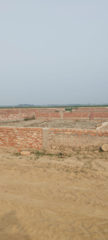  Residential Plot for Sale in Revelganj, Saran