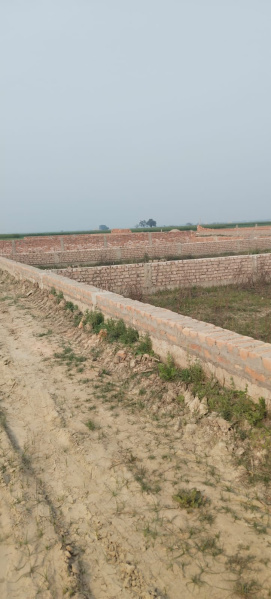  Residential Plot 1200 Sq.ft. for Sale in Saran