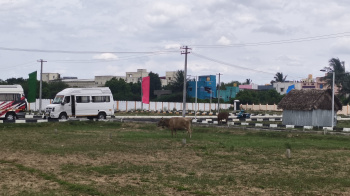  Residential Plot for Sale in Gomathy Amman Nagar, Perungavur, Chennai