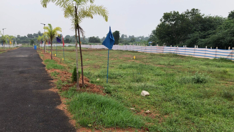  Residential Plot 1200 Sq.ft. for Sale in Annavasal, Pudukkottai