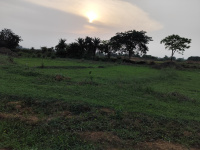  Residential Plot for Sale in Ethora, Asansol