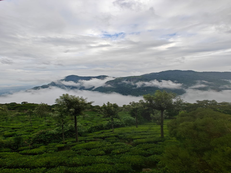  Residential Plot 36 Cent for Sale in Coonoor, Ooty