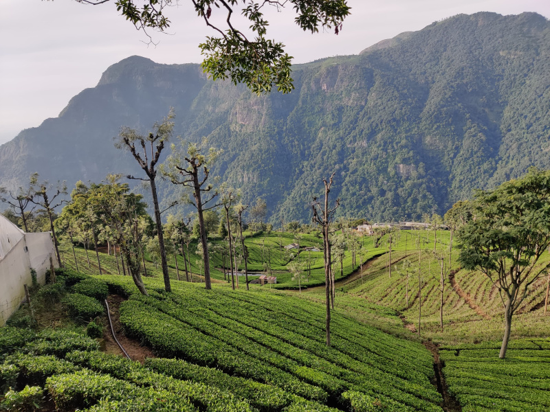  Residential Plot 36 Cent for Sale in Coonoor, Ooty
