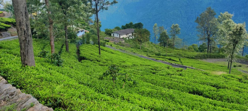  Residential Plot 36 Cent for Sale in Coonoor, Ooty