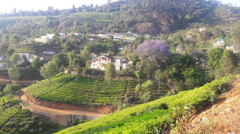  Residential Plot for Sale in Lovedale Junction, Ooty