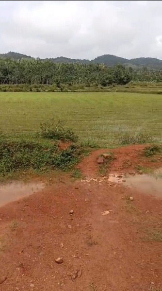  Agricultural Land 2 Acre for Sale in Koppa, Chikmagalur