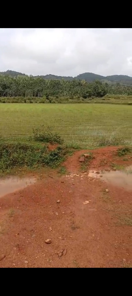  Agricultural Land 2 Acre for Sale in Koppa, Chikmagalur