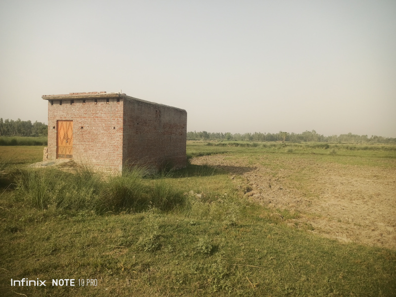  Agricultural Land 60 Bigha for Sale in Ganjdundwara, Kasganj