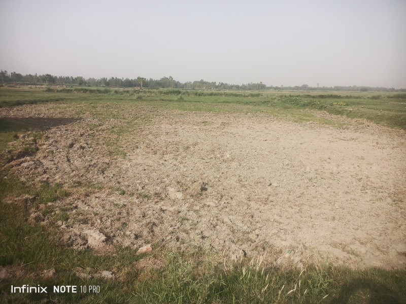  Agricultural Land 60 Bigha for Sale in Ganjdundwara, Kasganj
