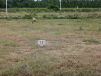  Residential Plot for Sale in Avaragere, Davanagere
