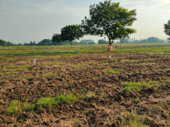  Commercial Land for Sale in Minjur, Chennai