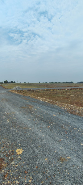  Residential Plot 1000 Sq.ft. for Sale in Bara, Rewa