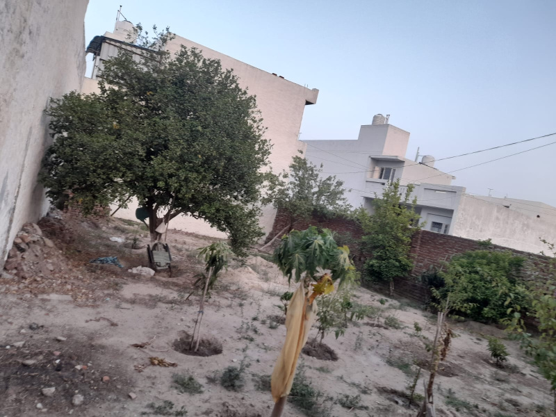  Residential Plot 11 Marla for Sale in Bajwara, Hoshiarpur
