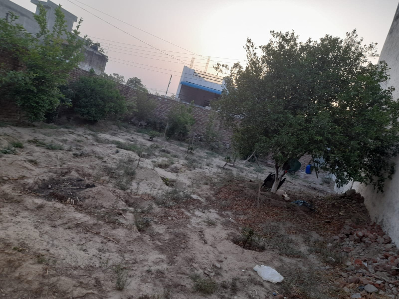  Residential Plot 11 Marla for Sale in Bajwara, Hoshiarpur