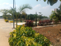  Commercial Land for Sale in Vemagal, Kolar