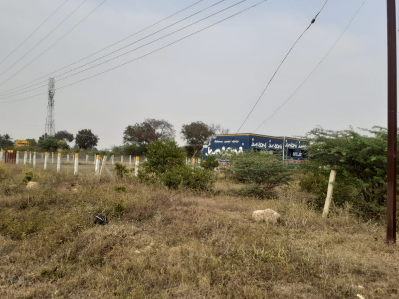  Agricultural Land 20 Cent for Sale in Eliyarpatthy, Madurai