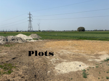 Residential Plot for Sale in Bakhtiarpur, Patna