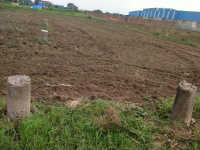  Residential Plot for Sale in Begampur, Patna