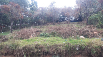  Residential Plot for Sale in Pambarpuram, Kodaikanal